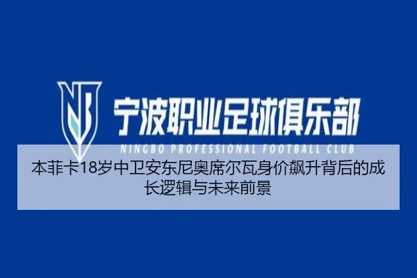 本菲卡18岁中卫安东尼奥席尔瓦身价飙升背后的成长逻辑与未来前景
