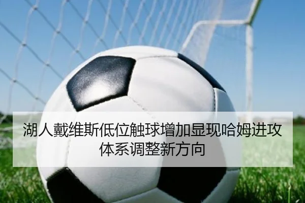湖人戴维斯低位触球增加显现哈姆进攻体系调整新方向（kaiyun）