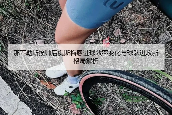 那不勒斯换帅后奥斯梅恩进球效率变化与球队进攻新格局解析 | kaiyun