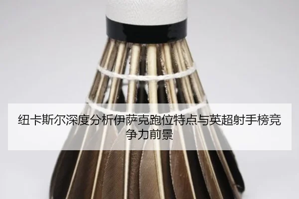 纽卡斯尔深度分析伊萨克跑位特点与英超射手榜竞争力前景